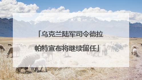 乌克兰陆军司令德拉帕特宣布将继续留任