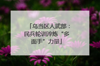 乌当区人武部：民兵轮训淬炼“多面手”力量