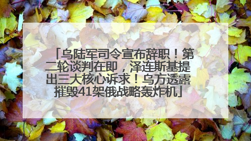 乌陆军司令宣布辞职！第二轮谈判在即，泽连斯基提出三大核心诉求！乌方透露摧毁41架俄战略轰炸机