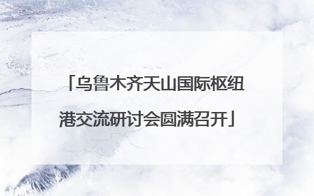 乌鲁木齐天山国际枢纽港交流研讨会圆满召开