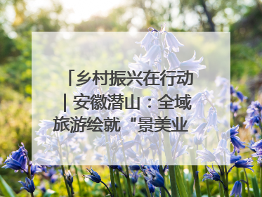 乡村振兴在行动｜安徽潜山：全域旅游绘就“景美业兴民富”新画卷
