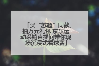 买“苏超”同款、抽万元礼包 京东运动采销直播间带你现场沉浸式看球赛