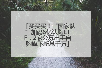 买买买！“国家队”加码6亿认购ETF，2家公募出手自购旗下新基千万
