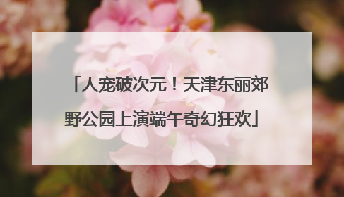 人宠破次元！天津东丽郊野公园上演端午奇幻狂欢