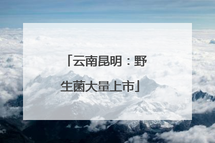 云南昆明：野生菌大量上市
