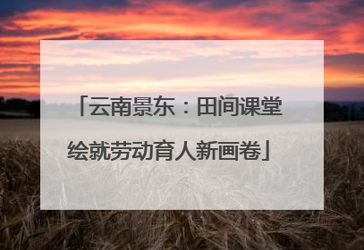云南景东：田间课堂绘就劳动育人新画卷