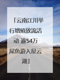 云南江川举行增殖放流活动 逾54万尾鱼游入星云湖