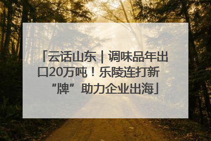 云话山东｜调味品年出口20万吨！乐陵连打新“牌”助力企业出海