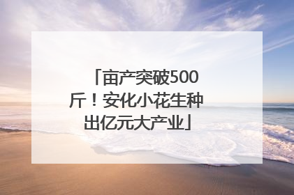 亩产突破500斤！安化小花生种出亿元大产业