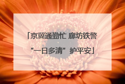 京冀通勤忙 廊坊铁警“一日多清”护平安