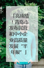 亮成绩！青岛市发布民营和中小企业高质量发展“半年报”