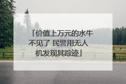 价值上万元的水牛不见了 民警用无人机发现其踪迹