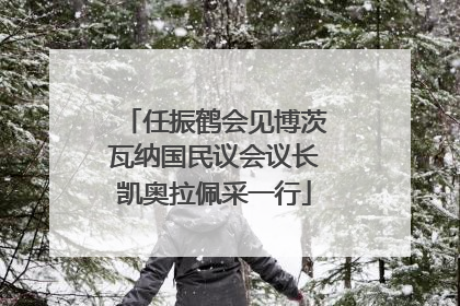 任振鹤会见博茨瓦纳国民议会议长凯奥拉佩采一行