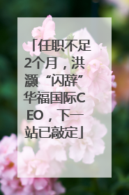任职不足2个月，洪灏“闪辞”华福国际CEO，下一站已敲定