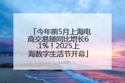今年前5月上海电商交易额同比增长6.1%！2025上海数字生活节开幕