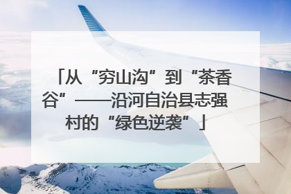 从“穷山沟”到“茶香谷”——沿河自治县志强村的“绿色逆袭”