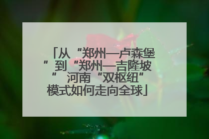 从“郑州—卢森堡”到“郑州—吉隆坡” 河南“双枢纽”模式如何走向全球