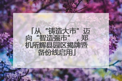 从“铸造大市”迈向“智造强市”，郑机所辉县园区揭牌暨备份线启用