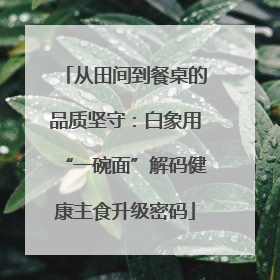 从田间到餐桌的品质坚守：白象用“一碗面”解码健康主食升级密码