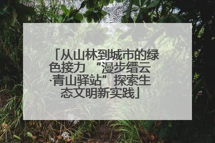 从山林到城市的绿色接力 “漫步缙云·青山驿站”探索生态文明新实践