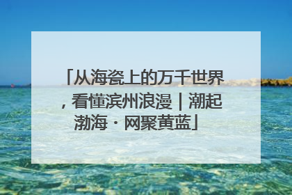 从海瓷上的万千世界，看懂滨州浪漫｜潮起渤海・网聚黄蓝
