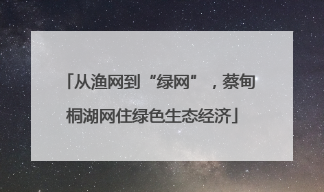 从渔网到“绿网”，蔡甸桐湖网住绿色生态经济