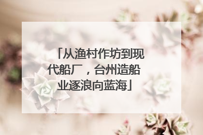 从渔村作坊到现代船厂，台州造船业逐浪向蓝海