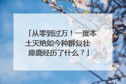 从零到过万！一度本土灭绝如今种群复壮 麋鹿经历了什么？