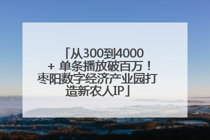 从300到4000+ 单条播放破百万！枣阳数字经济产业园打造新农人IP