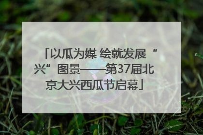 以瓜为媒 绘就发展“兴”图景——第37届北京大兴西瓜节启幕