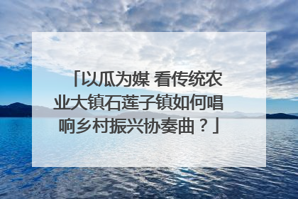 以瓜为媒 看传统农业大镇石莲子镇如何唱响乡村振兴协奏曲？