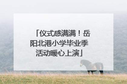 仪式感满满！岳阳北港小学毕业季活动暖心上演