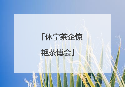 休宁茶企惊艳茶博会