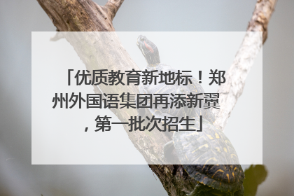 优质教育新地标！郑州外国语集团再添新翼，第一批次招生