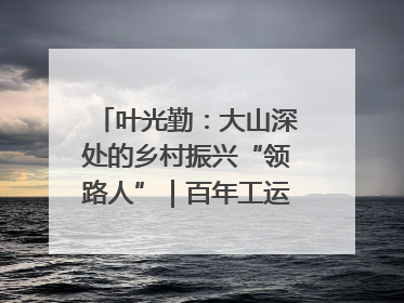叶光勤：大山深处的乡村振兴“领路人”｜百年工运·劳模说