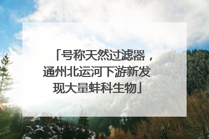 号称天然过滤器，通州北运河下游新发现大量蚌科生物