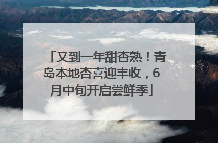 又到一年甜杏熟！青岛本地杏喜迎丰收，6月中旬开启尝鲜季