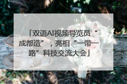 双语AI视频导览员“成都造”，亮相“一带一路”科技交流大会