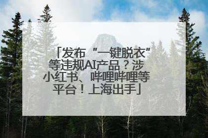 发布“一键脱衣”等违规AI产品？涉小红书、哔哩哔哩等平台！上海出手