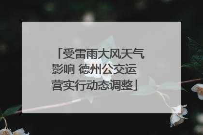 受雷雨大风天气影响 德州公交运营实行动态调整