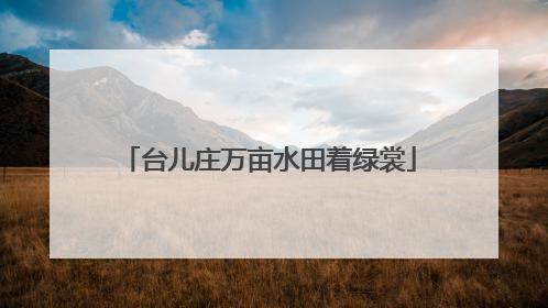台儿庄万亩水田着绿裳