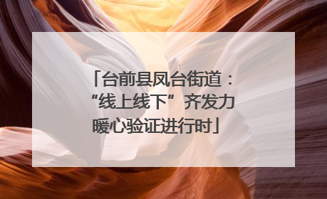 台前县凤台街道：“线上线下”齐发力 暖心验证进行时