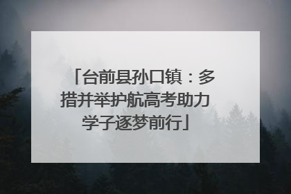 台前县孙口镇：多措并举护航高考助力学子逐梦前行