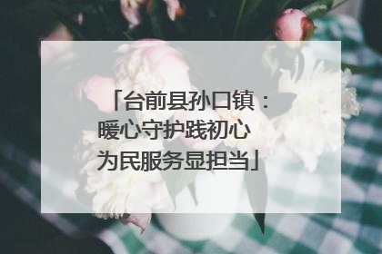台前县孙口镇：暖心守护践初心 为民服务显担当