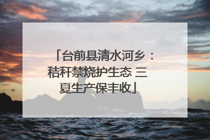 台前县清水河乡：秸秆禁烧护生态 三夏生产保丰收