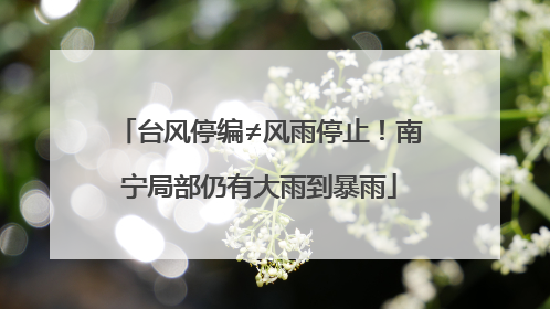 台风停编≠风雨停止！南宁局部仍有大雨到暴雨