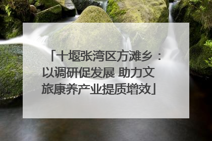 十堰张湾区方滩乡：以调研促发展 助力文旅康养产业提质增效