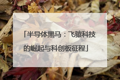半导体黑马：飞骧科技的崛起与科创板征程