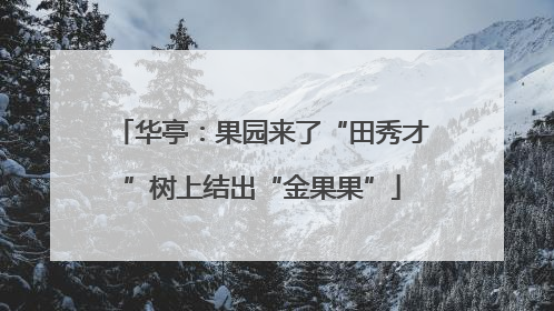 华亭：果园来了“田秀才”树上结出“金果果”