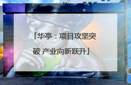 华亭：项目攻坚突破 产业向新跃升